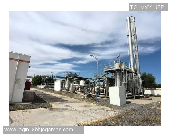 深入探讨数据分析在液化天然气速度表现中的应用与影响