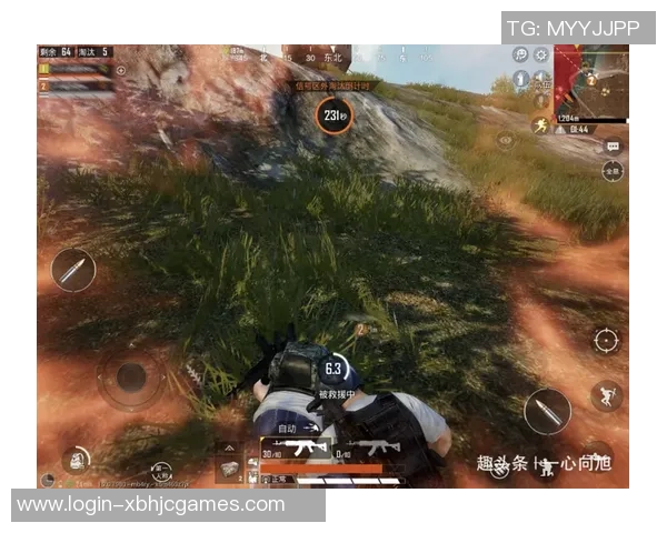 聚焦和平精英BLG团队技术创新与战术分析探讨实时数据 聚焦和平精英BLG团队技术创新与战术分析探讨实时数据